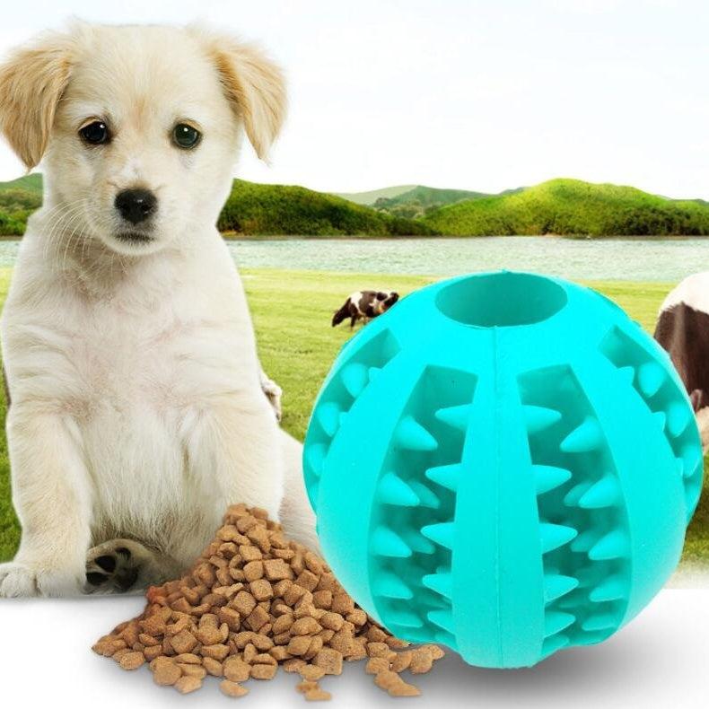 Pet Slow Feeder Dog Ball